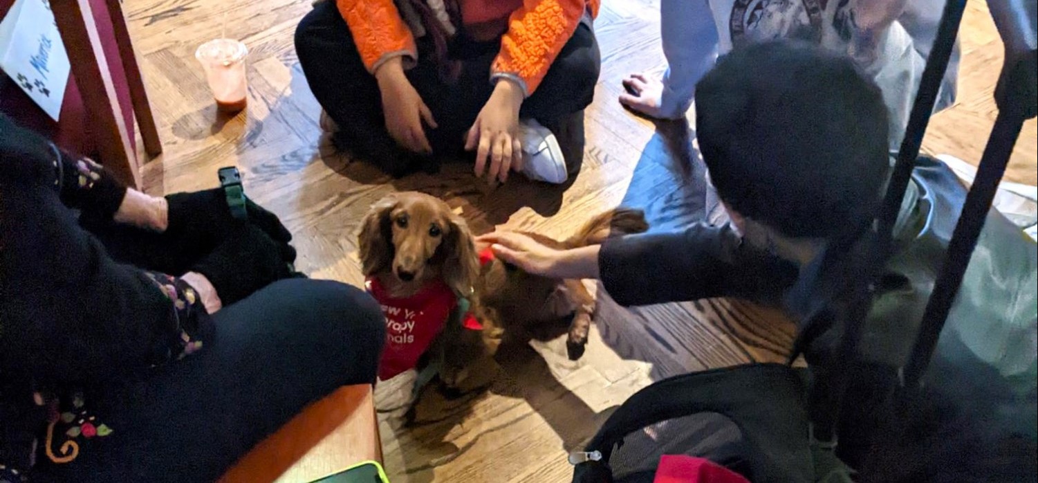 Puppy Petting