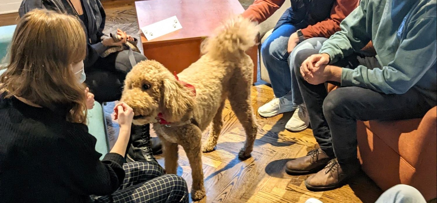 Puppy Petting