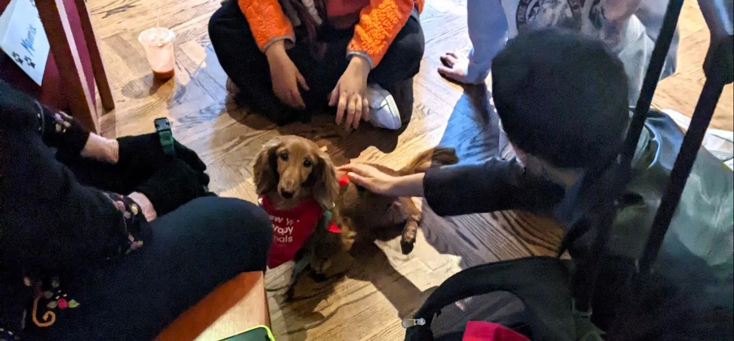 Puppy Petting